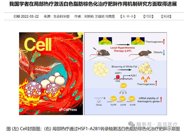 热-氧全身热疗系统GL3000-CD正式入驻北京维凯尔医疗美容医院(图1)