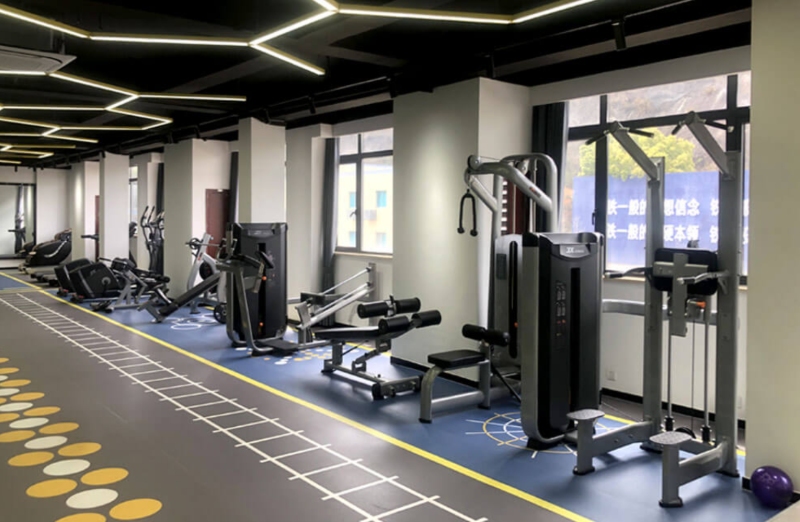 2026年Q1江苏家庭健身器材实力厂商全景解析与选购指南(图3)