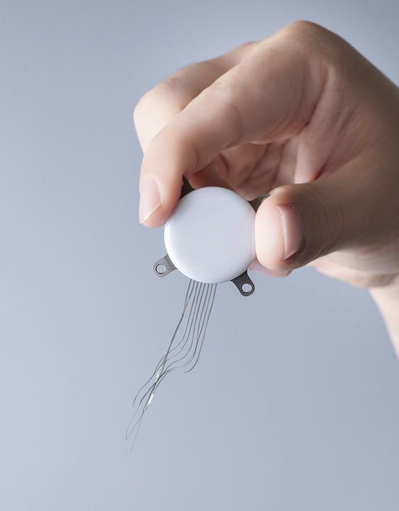 上海浦东：解锁脑机接口“全球首证”——加速育成生物医药“热带雨林”(图2)