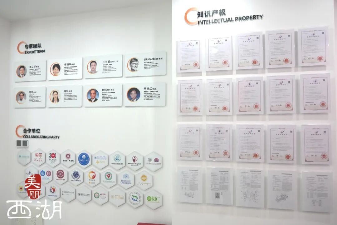 以“眼”为笔以“膝”为始：一家杭州科创企业的十二年康复长跑(图2)