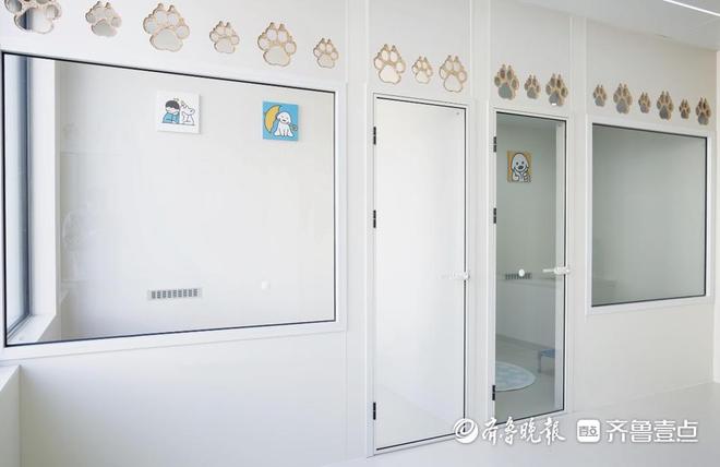 壹点调查｜“五一”小长假带火宠物寄养济南有商家日收费近千元(图3)
