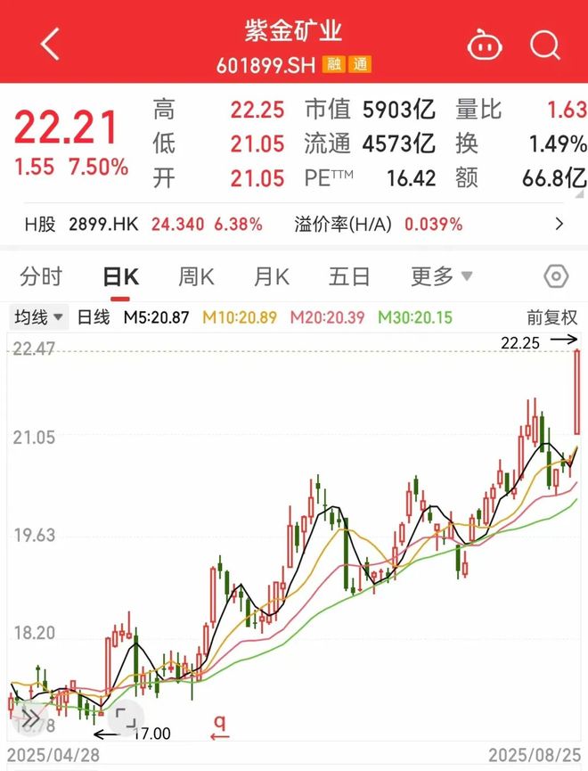 数据丨这类股爆发两大巨头股价创历史新高！全球首个神经重症脑机接口多中心临床试验启动(图2)