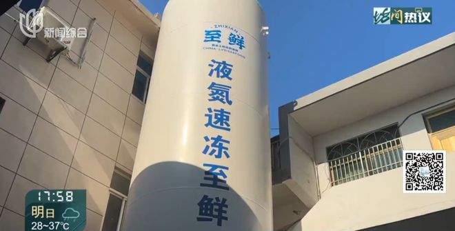 上海正大量上市梭子蟹每天供应超100万斤！很多人买到死货能吃吗？(图5)