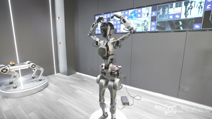 经济大省挑大梁·高手在“民”间｜“三头六臂”诠释何以“新沪商”(图2)