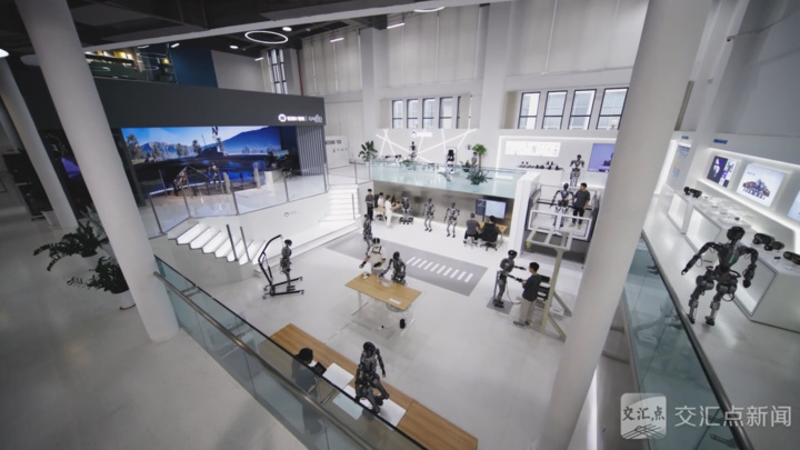 经济大省挑大梁·高手在“民”间｜“三头六臂”诠释何以“新沪商”(图4)