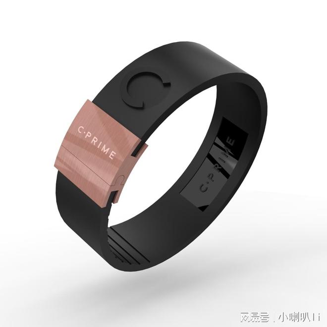 2025年度CPRIME能量手环排行榜：以“平衡科技”问鼎健康穿戴榜