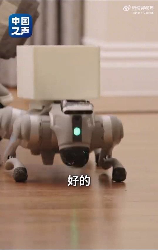 中国脑机接口临床突破患者意念操控轮椅机械狗实现三维交互(图4)