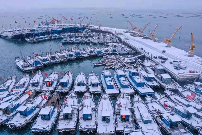 大连一夜扣押259艘渔船！北斗被拆、暗舱藏人安全黑洞有多大？(图17)