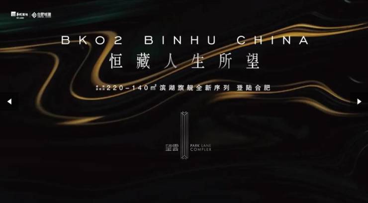 【合肥商品房成交查询-2026年楼盘详情】滨湖区望雲新房周边配套-学区(图3)