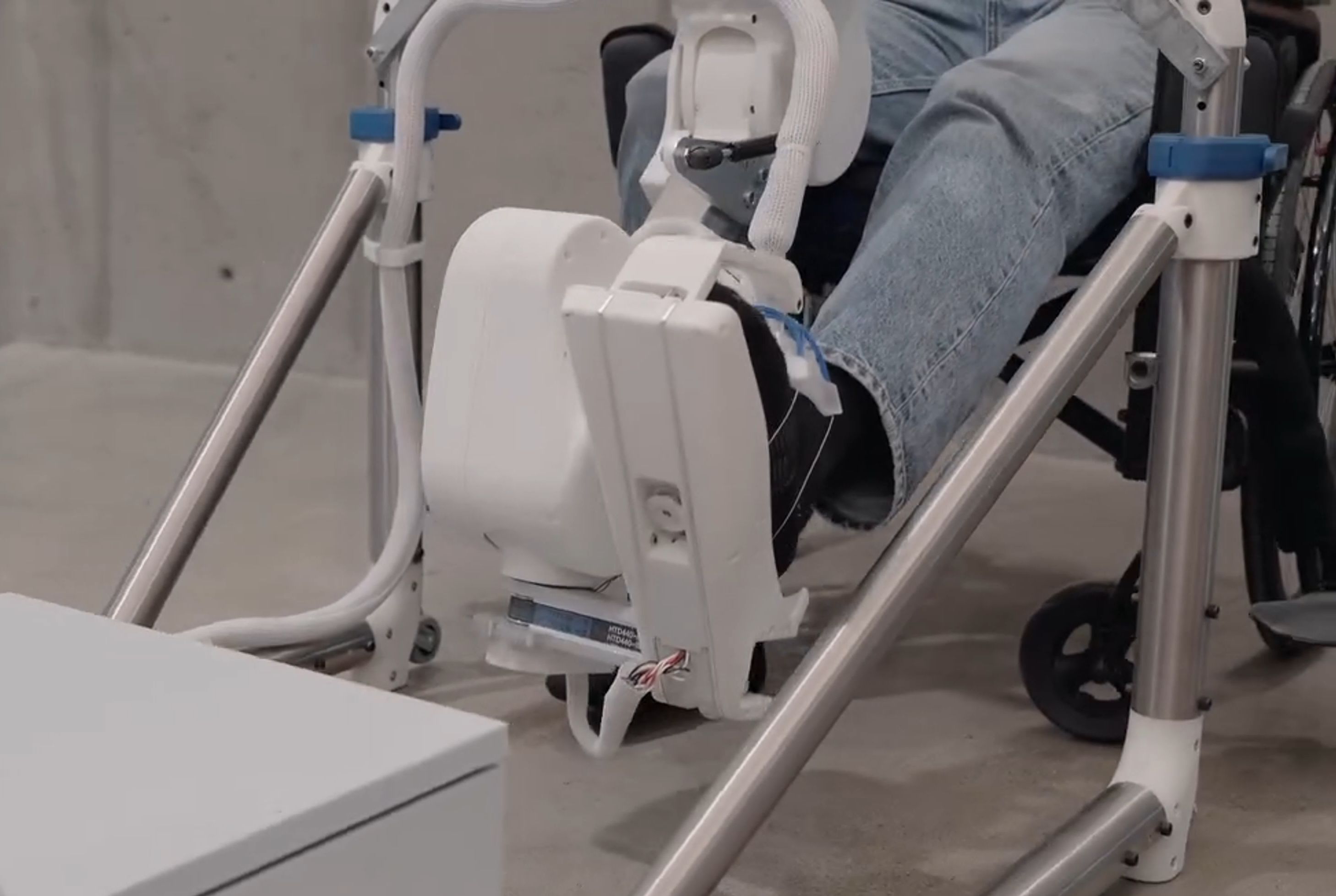 2026年权威运动康复专家推荐